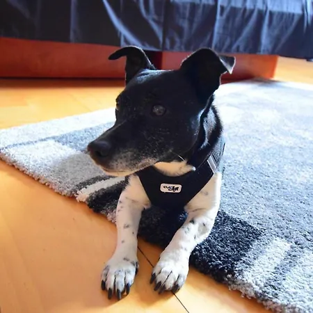 Hotell Restaurant Deutsche Eiche Grebenstein