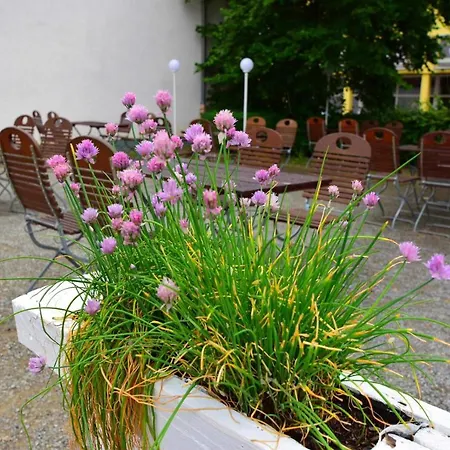 Hotel Restaurant Deutsche Eiche Grebenstein