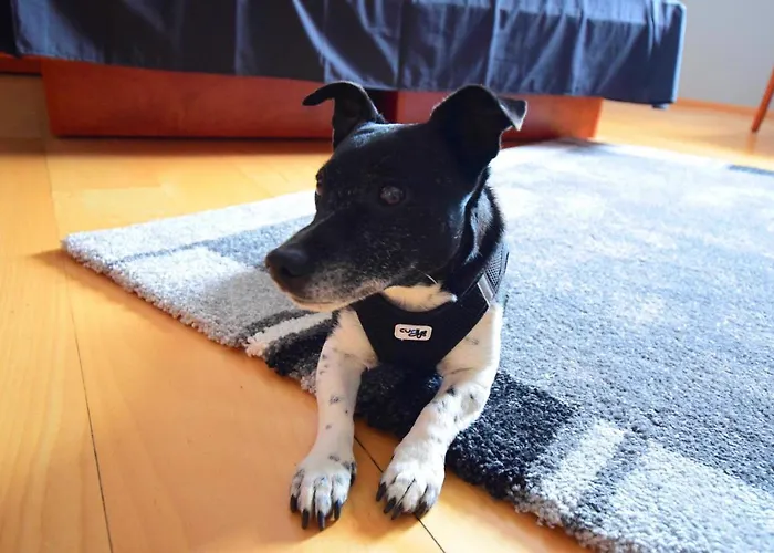 Hotel Restaurant Deutsche Eiche Grebenstein